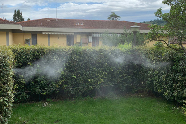 Immagine Mister Mosquito